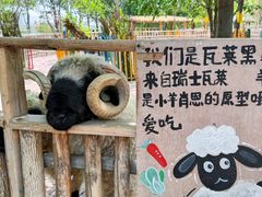 -水上乐园·欢乐世界