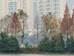 -艾溪湖湿地公园
