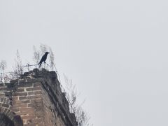 -蟠龙山长城景区