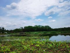 -东平国家森林公园
