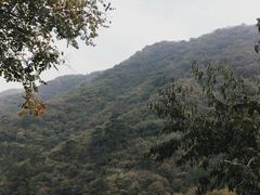 -香山公园
