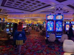 -拉斯维加斯永利酒店