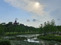 -东莞植物园
