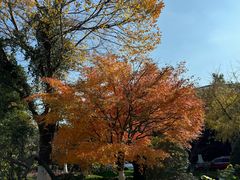 -张江润和国际总部园