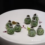 毛豆阿姨全新升级👉🏻待月庭