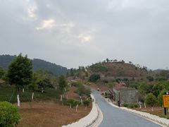 -东莞植物园