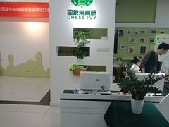 -常青藤国际象棋(新奥店)