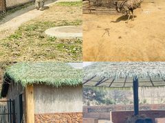 -沈阳森林动物园