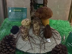 -名善山珍·野生菌汤锅(文殊院店)
