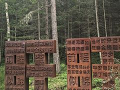 -汤旺河林海奇石景区