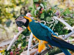 -石家庄市动物园