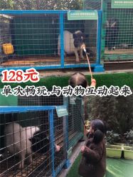 -可可天空农场(中大店)