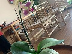 -仰生如卉推拿养生馆(酒仙桥店)