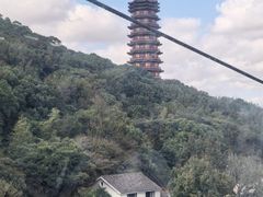 -普陀山风景区-佛顶山
