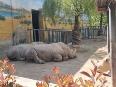 -西安秦岭野生动物园