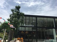 -桉树林A coffee 森林餐厅(三圣乡店)