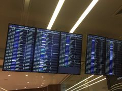 -谢列梅捷沃国际机场