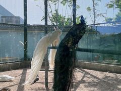 -瑞博尔花园酒店(太周创新产业园店)