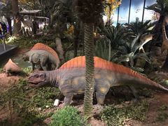 -湖南省地质博物馆