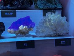 -湖南省地质博物馆