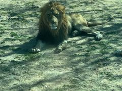 -北京野生动物园