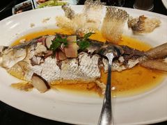 -上海1号私藏菜(黄浦店)