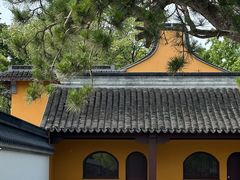 -龙华寺