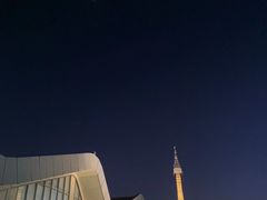 -德宏芒市国际机场