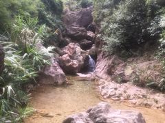 -南海湾森林生态园