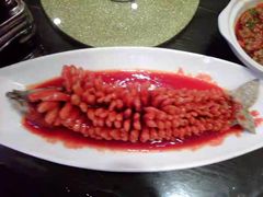 珊瑚鱼-刘胖子家常菜·蹄花焖藕(兴业店)