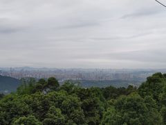 -金水泊山庄·花椒鸡(铁山坪店)
