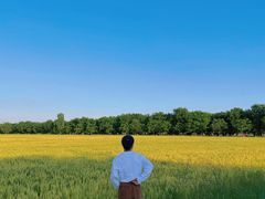 -汉长安城未央宫国家考古遗址公园