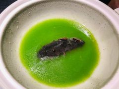 上汤野米海参-花潮料理艺食馆(成都万象城店)