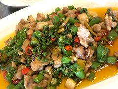 -代木儿回锅肉