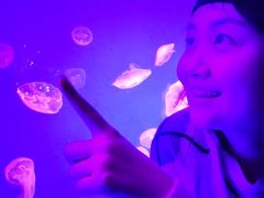 -哈尔滨波塞冬海底世界