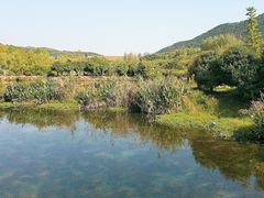 -石塘人家