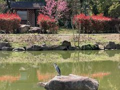 -浙江农林大学(东湖校区)