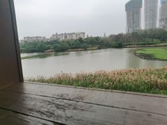 -华侨城湿地公园