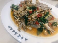 炒蛏子-长平老姿娘夜粥(平东一街店)