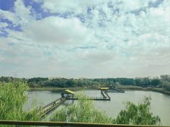 -溱湖国家湿地公园