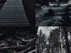 -芦芽山旅游度假区