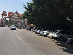 -大湾区中央湿地公园-十九涌
