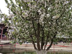 -元大都城垣遗址公园