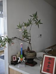 -Your Yoga Pilates·瑜伽普拉提习练室