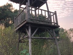 -杏花村文化旅游区
