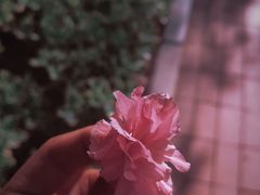 -木塔寺遗址生态公园