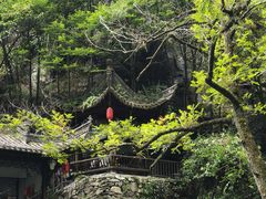 -石台牯牛降景区
