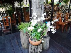 -自然餐厅(Phuket)