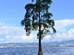 -大理洱海