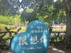 -西双版纳原始森林公园